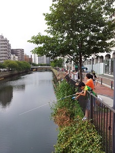 20120916_095908.jpg
